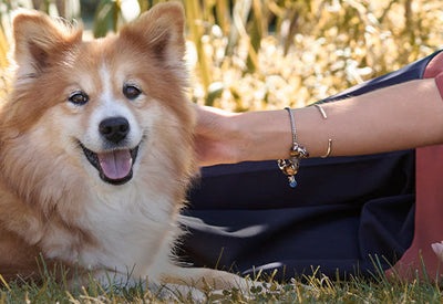 Dog with model wearing Trollbeads bracelets featuring a tassel with a puppy in silver and glass